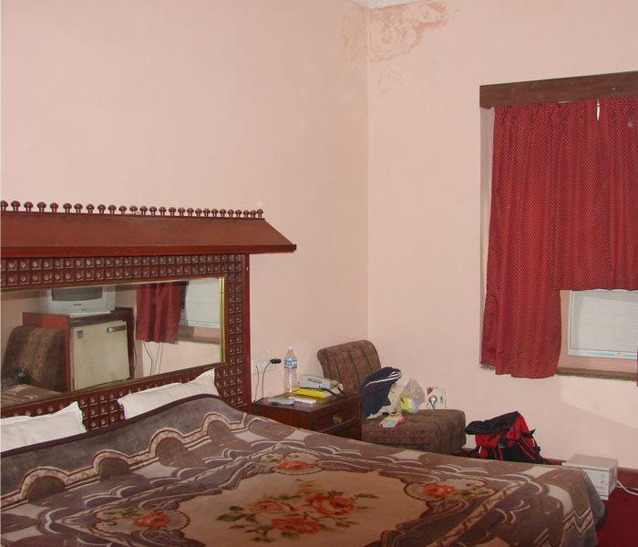 Hotel Krishna Palace 新德里 客房 照片